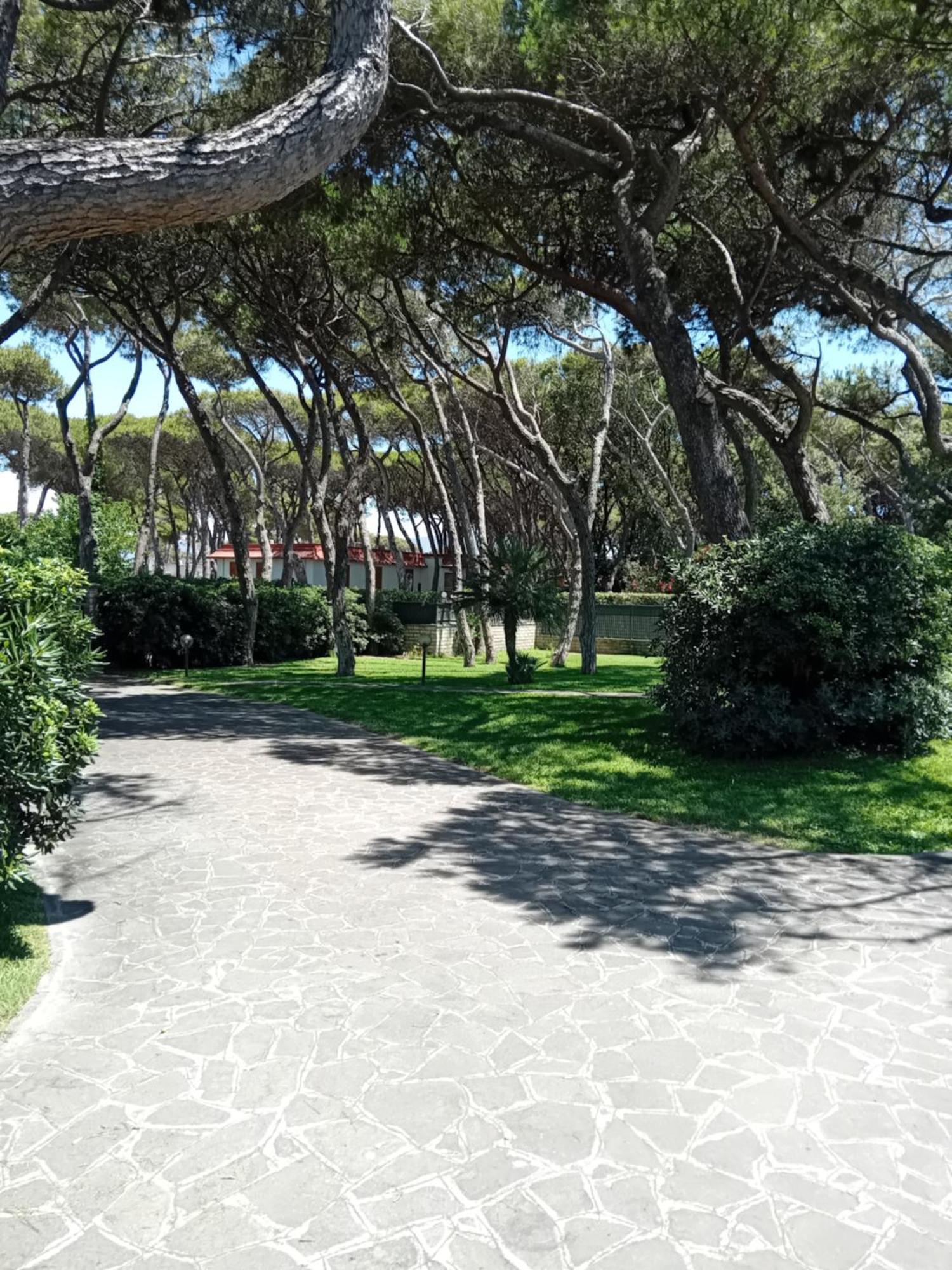 Comfortable&spacious - Villa